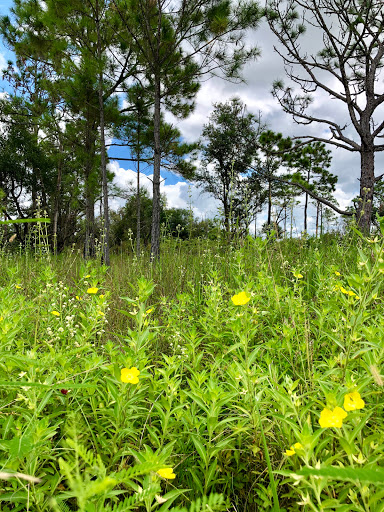 Nature Preserve «Duette Preserve», reviews and photos, 2649 Rawls Rd, Parrish, FL 34219, USA