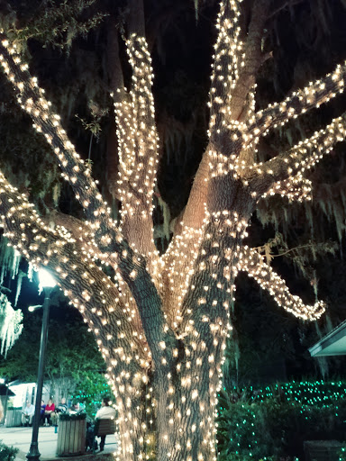 Gift Shop «Whispering Winds - A Happy Little Gift Shop», reviews and photos, 439 N Donnelly St, Mt Dora, FL 32757, USA