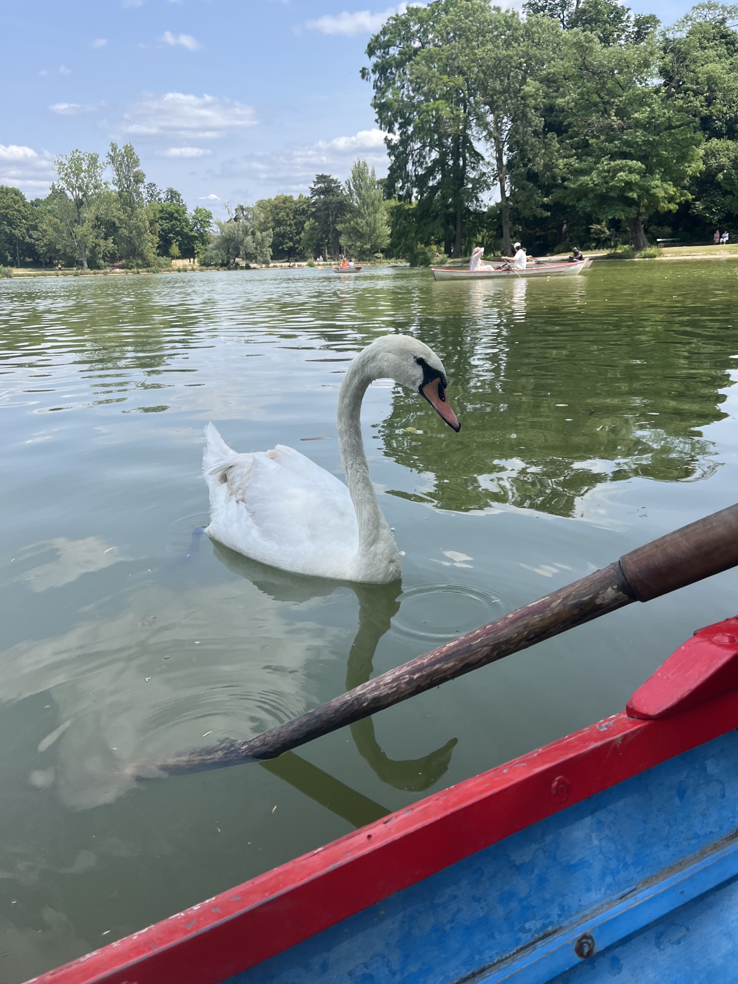 Photo n° 2 de l'avis de ENIGMA. fait le 27/06/2023 à 10:01