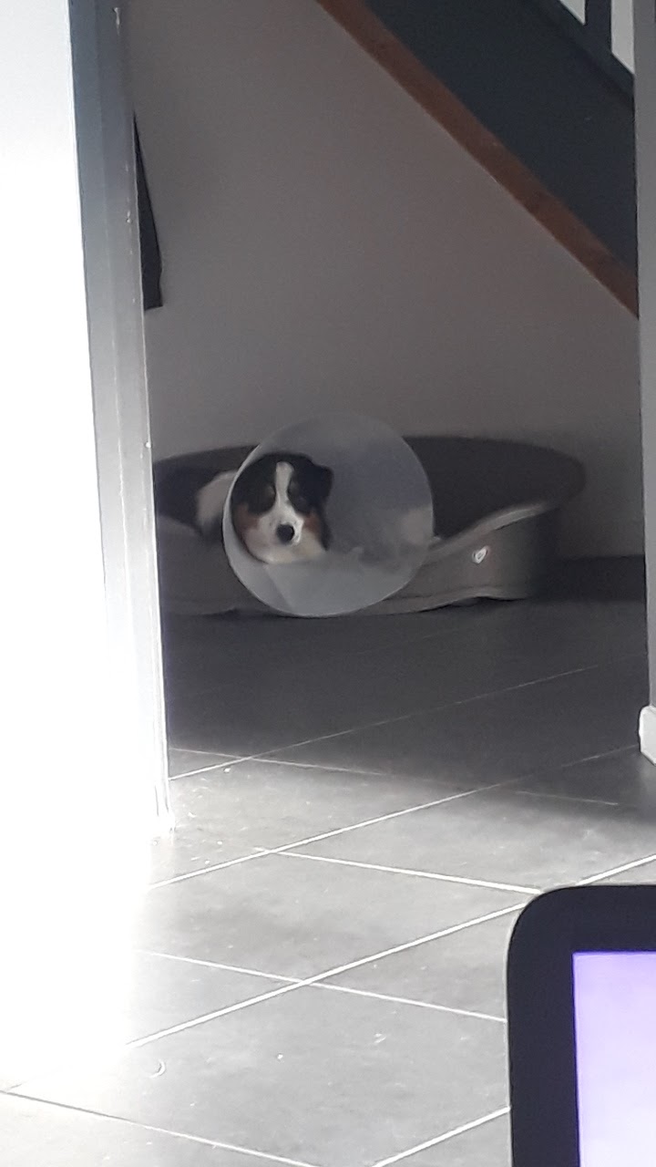 Photo n° 2 de l'avis de Johan.y fait le 04/01/2019 à 07:00