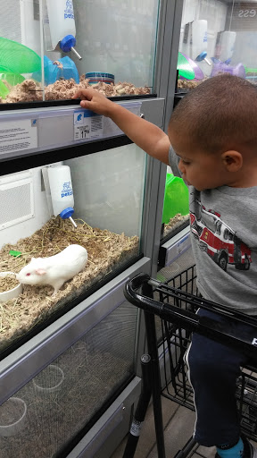 Pet Supply Store «Petco Animal Supplies», reviews and photos, 693 Middletown Warwick Rd, Middletown, DE 19709, USA