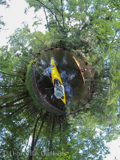 Canoe & Kayak Tour Agency «Osprey Bay Outdoors», reviews and photos, 160 N Belcher Rd, Clearwater, FL 33765, USA