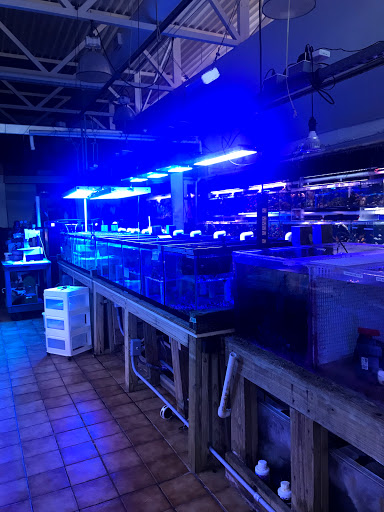 Pet Supply Store «Seascape Aquarium & Pet Center», reviews and photos, 2162 Gulf Gate Dr, Sarasota, FL 34231, USA