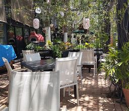 Tokio 07 Montejo photo