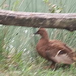 Photo n°10 de l'avis de Nanni.v fait le 11/09/2022 à 20:17 sur le  Chalet Rocca dei Folli | Pizzeria - Ristorante à Folli