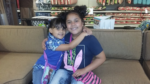 Discount Store «Big Lots», reviews and photos, 4840 Allen Rd, Zephyrhills, FL 33541, USA