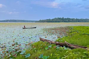 Vellayani Lake Lotus Bloom Viewpoint image