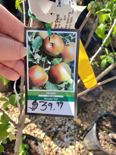 Garden Center «Ivy Corner Garden Center Gift Shop», reviews and photos, 4305 Ivy Rd, Charlottesville, VA 22903, USA