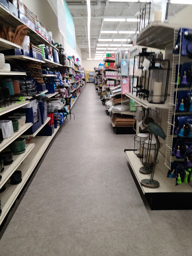 Discount Store «Big Lots», reviews and photos, 550 Mt Pleasant Ave, Dover, NJ 07801, USA