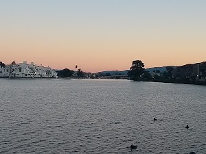 Leo J. Ryan Park - photo 3