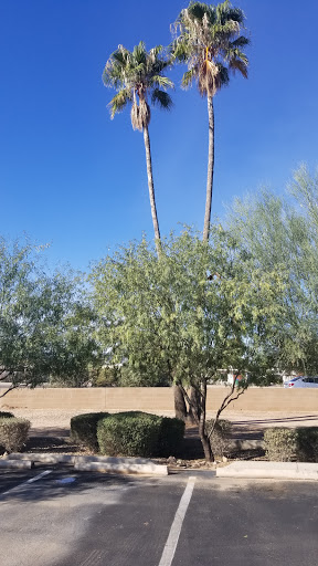 Discount Store «Dollar General», reviews and photos, 1742 W Ruthrauff Rd, Tucson, AZ 85705, USA