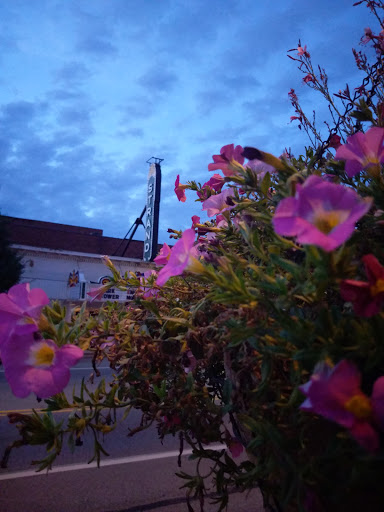 Movie Theater «Strand Theatre», reviews and photos, 219 W Chicago Rd, Sturgis, MI 49091, USA