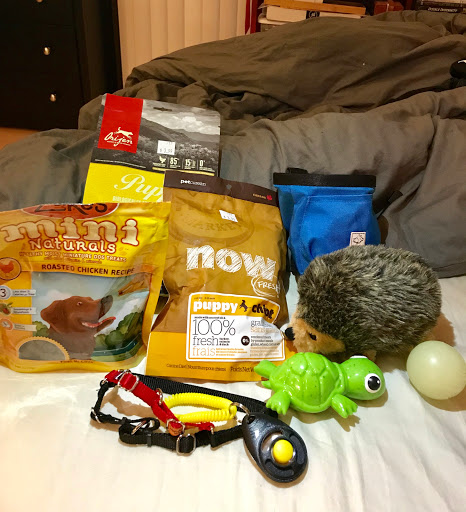 Pet Supply Store «Wally Pets», reviews and photos, 4411 Wallingford Ave N, Seattle, WA 98103, USA