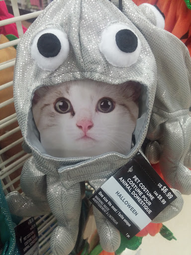 Craft Store «Michaels», reviews and photos, 1601 Westbank Expy c, Harvey, LA 70058, USA