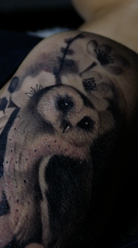 Tattoo Shop «Arlington Ink», reviews and photos, 1129 E Abram St, Arlington, TX 76010, USA