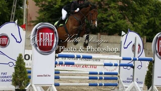 Opinii despre Lovasklub Kft. în Pécs - Szórakozóhely