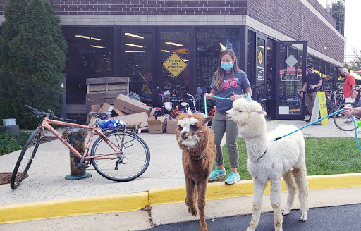 Bicycle Store «The Bike Lane», reviews and photos, 11943 Democracy Dr, Reston, VA 20190, USA