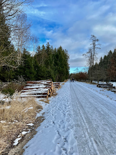 Wildpark Forstenried