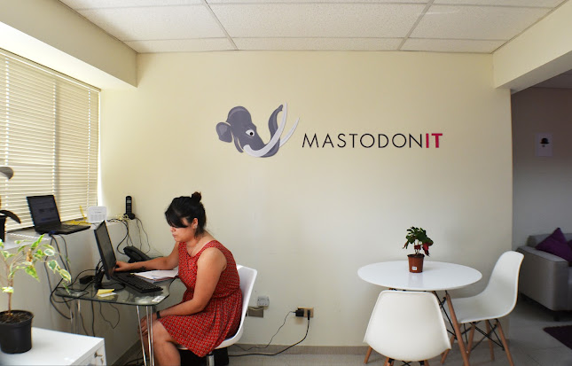 Opiniones de Mastodonit en Valparaíso - Agencia de publicidad