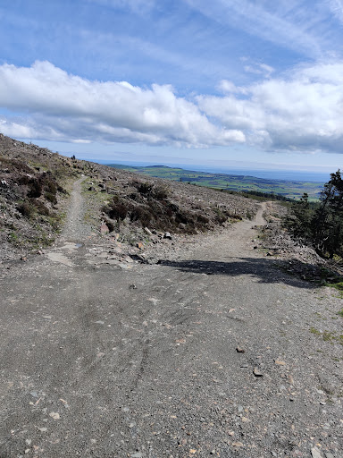 MTB-Ballinastoe Woods wicklow  ireland