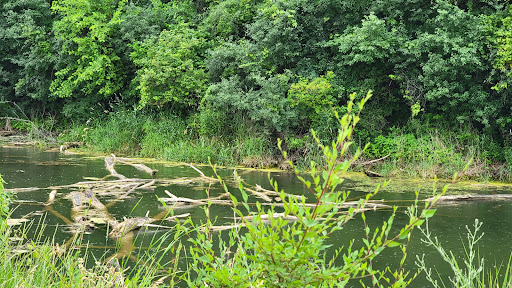 Nature Preserve «Bluff Spring Fen», reviews and photos, Spring Grove Ave, Elgin, IL 60120, USA