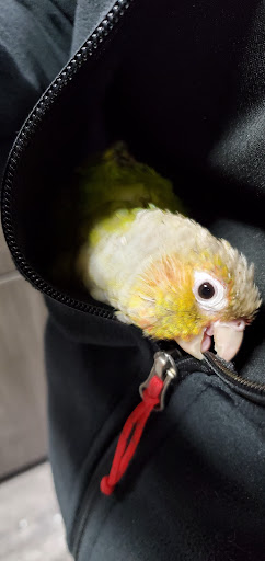 Pet Supply Store «Pet Supermarket, Inc.», reviews and photos, 1052 Peachtree Industrial Blvd, Suwanee, GA 30024, USA