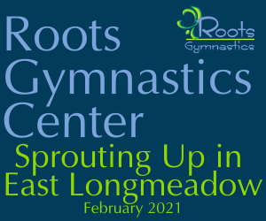 Gymnastics Center «Roots Gymnastics Center», reviews and photos, 209 Root Rd, Westfield, MA 01085, USA