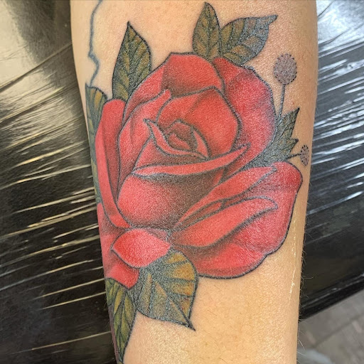 Explore australian shepherd tattoo ideas, creative tattoo ideas in Fall River, available at Indelible Ink Tattoo Studio 2.0