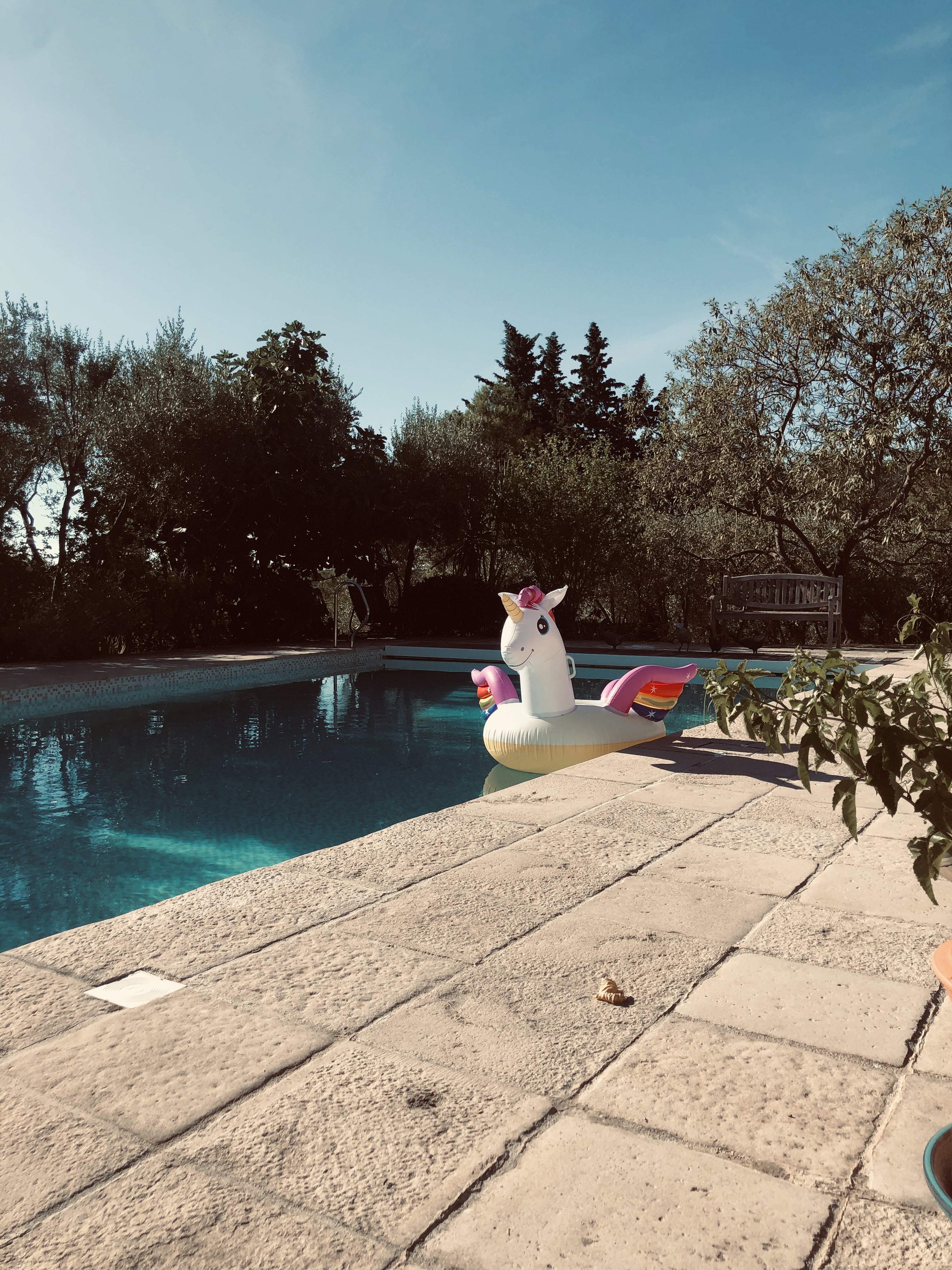 Photo n° 2 de l'avis de Gaetan.I fait le 20/08/2020 à 17:58