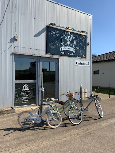 Magasin REQUINQUER Vélo Cargo VAE réparation vélo location vélo Richemont