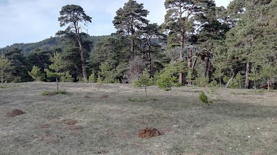 Photos of Sağlıklı Yaşam Ve Kondisyon Parkı