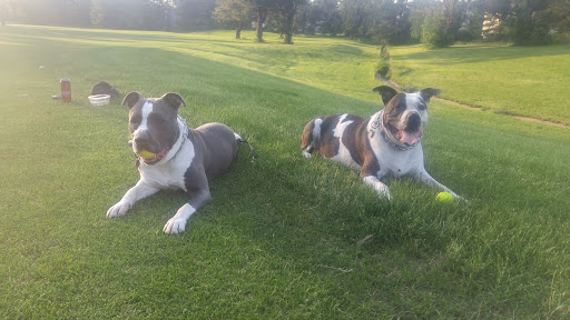 Golf Course «The Meadows at Middlesex Golf Course», reviews and photos, 70 Hunters Glen Dr, Plainsboro Township, NJ 08536, USA