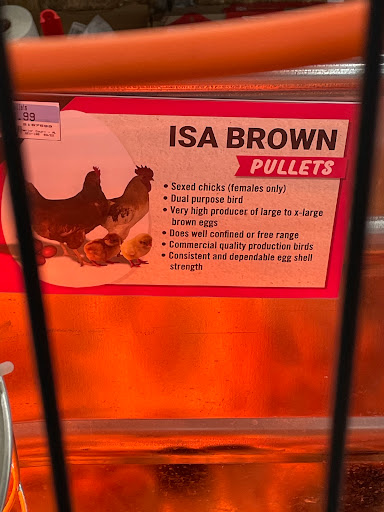 Home Improvement Store «Tractor Supply Co.», reviews and photos, 150 New London Rd, Colchester, CT 06415, USA