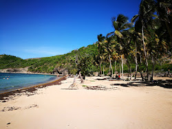 Plage de Pompierre'in fotoğrafı biraz temiz temizlik seviyesi ile
