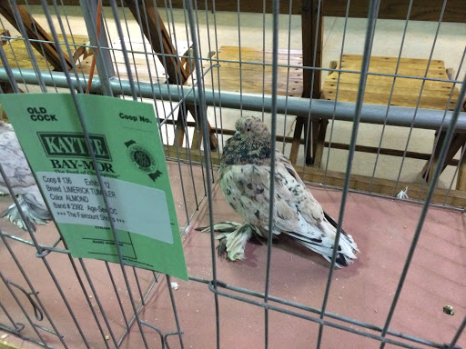 Park «Warsaw Park», reviews and photos, 119 Pulaski Hwy, Ansonia, CT 06401, USA