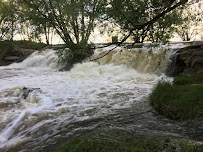 Move Forward Colorado