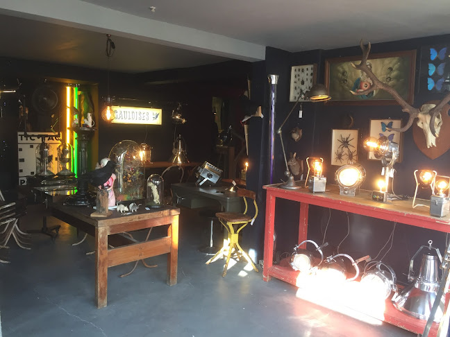 Reviews of DIGS in Brighton - Furniture store