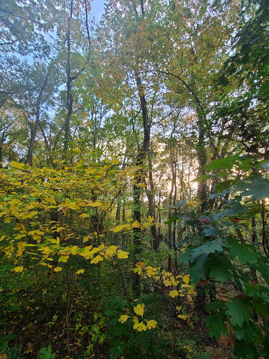 Museum «Barclay Farmstead Museum», reviews and photos, 209 Barclay Ln, Cherry Hill, NJ 08034, USA