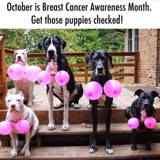 Tattoo Shop «Frontier Tattoo Company», reviews and photos, 2510 E Hunt Hwy #12, San Tan Valley, AZ 85143, USA