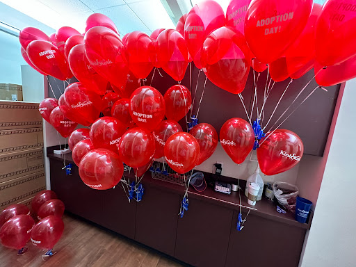 Adoption Agency «Kirsh & Kirsh, P.C. - Indiana Adoption», reviews and photos