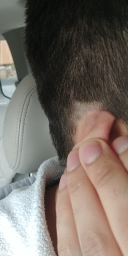 Hair Salon «Holiday Hair», reviews and photos, 2040 S Township Blvd, Pittston, PA 18640, USA