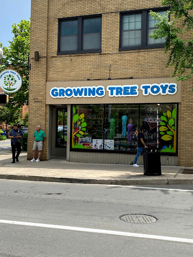 Growing Tree Toys, 202 S Allen St, State College, PA 16801, USA, 