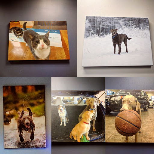 Subaru Dealer «Planet Subaru», reviews and photos, 596 Washington St, Hanover, MA 02339, USA