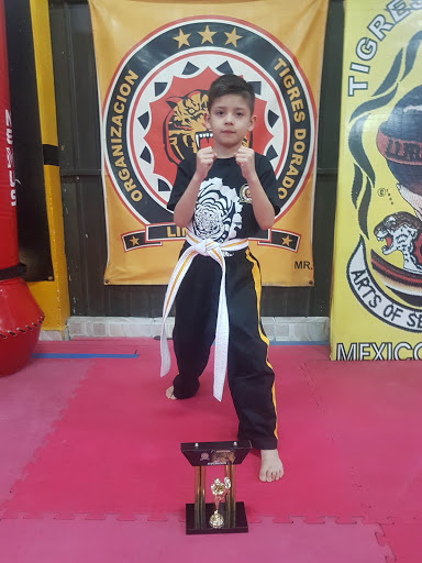 Escuela de taekwondo Ciudad López Mateos
