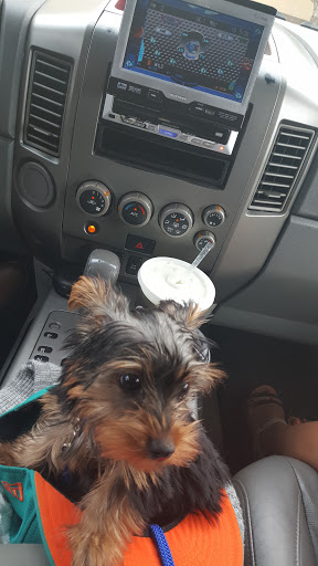 Ice Cream Shop «Icesmile Tampa», reviews and photos, 1512 E Fowler Ave, Tampa, FL 33612, USA