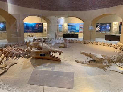 Fossil & Climate Change Museum