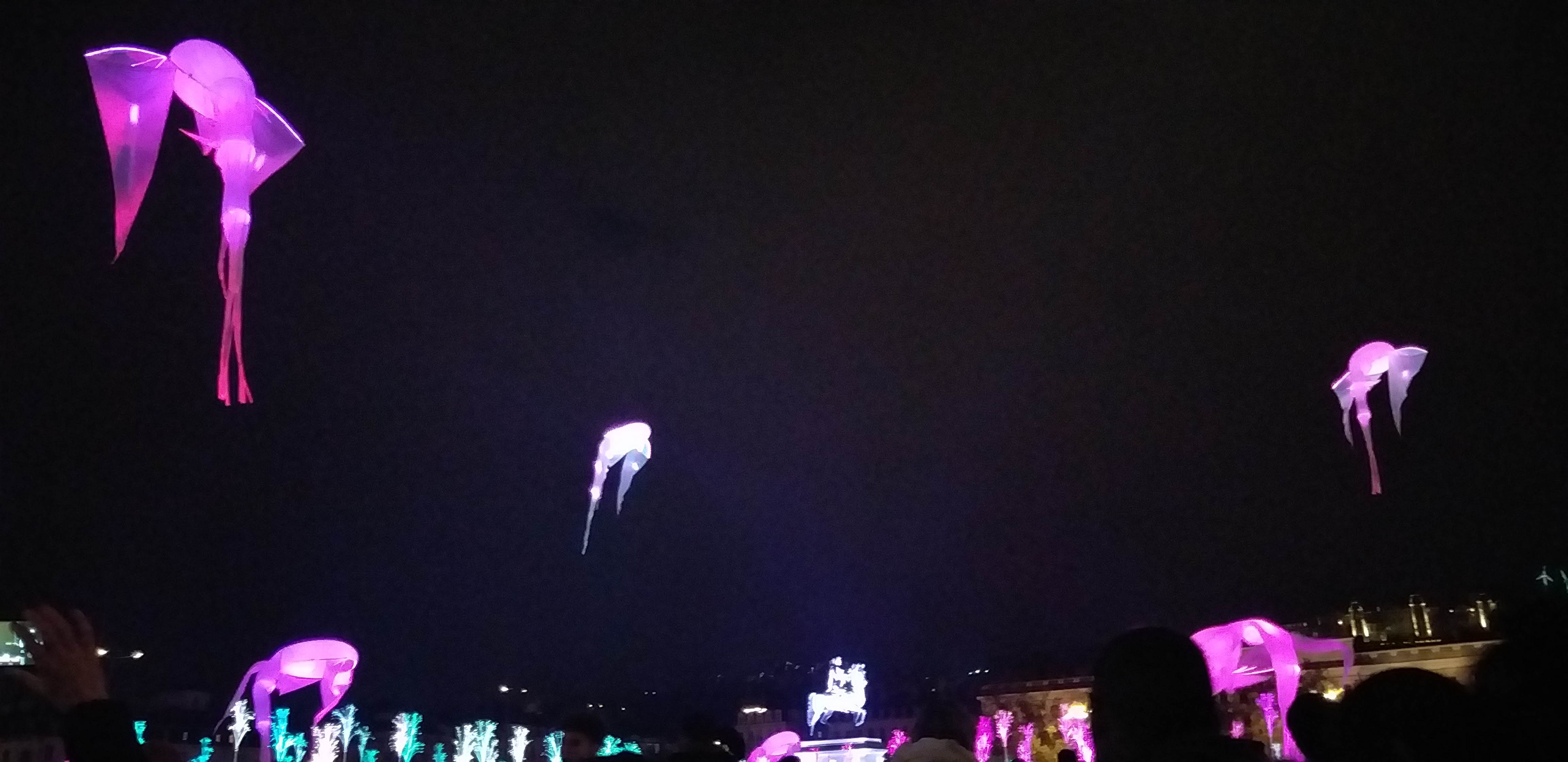 Photo n° 3 de l'avis de Elsa. fait le 10/12/2019 à 22:35