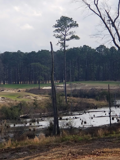 Golf Course «Southern Pines Golf Club», reviews and photos, 290 Country Club Cir, Southern Pines, NC 28387, USA