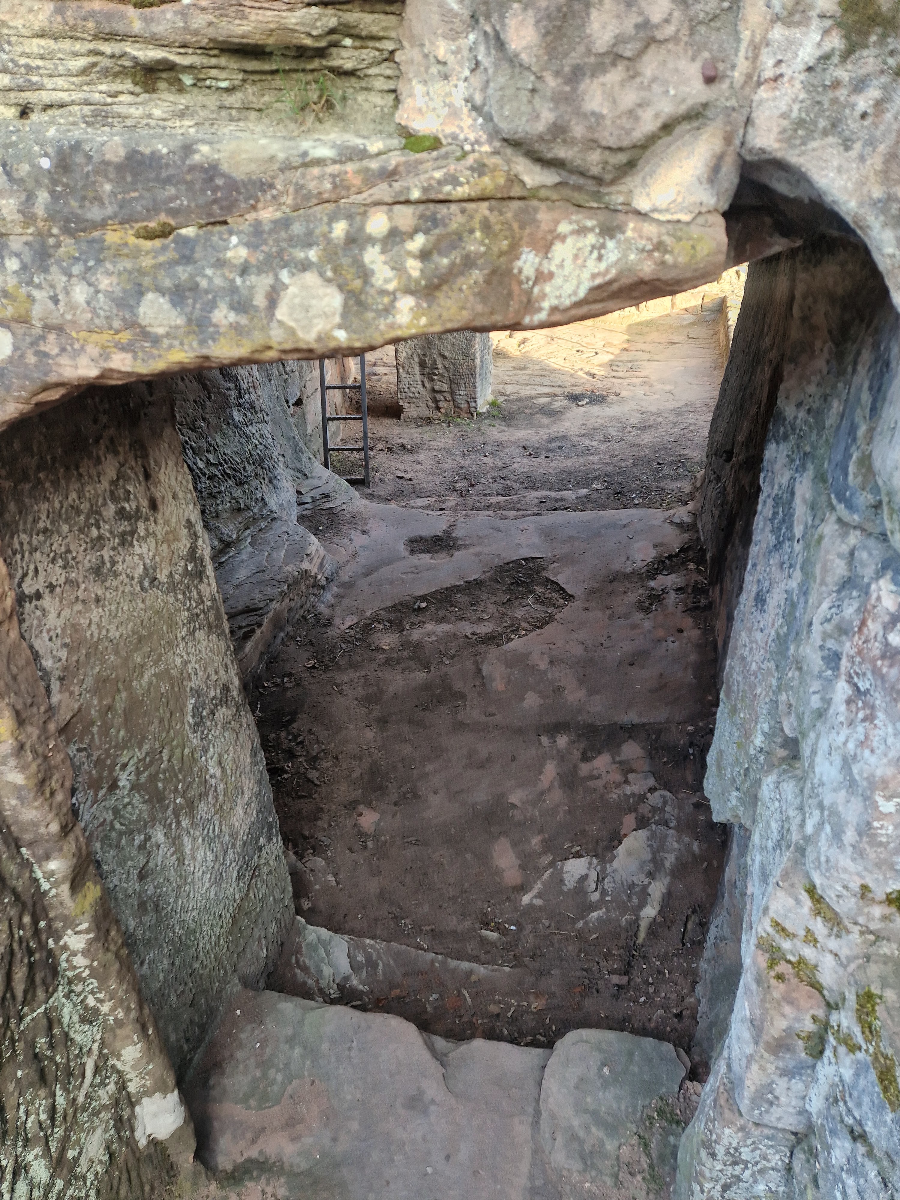 Photo n° 12 de l'avis de Beno. fait le 14/01/2024 à 20:33