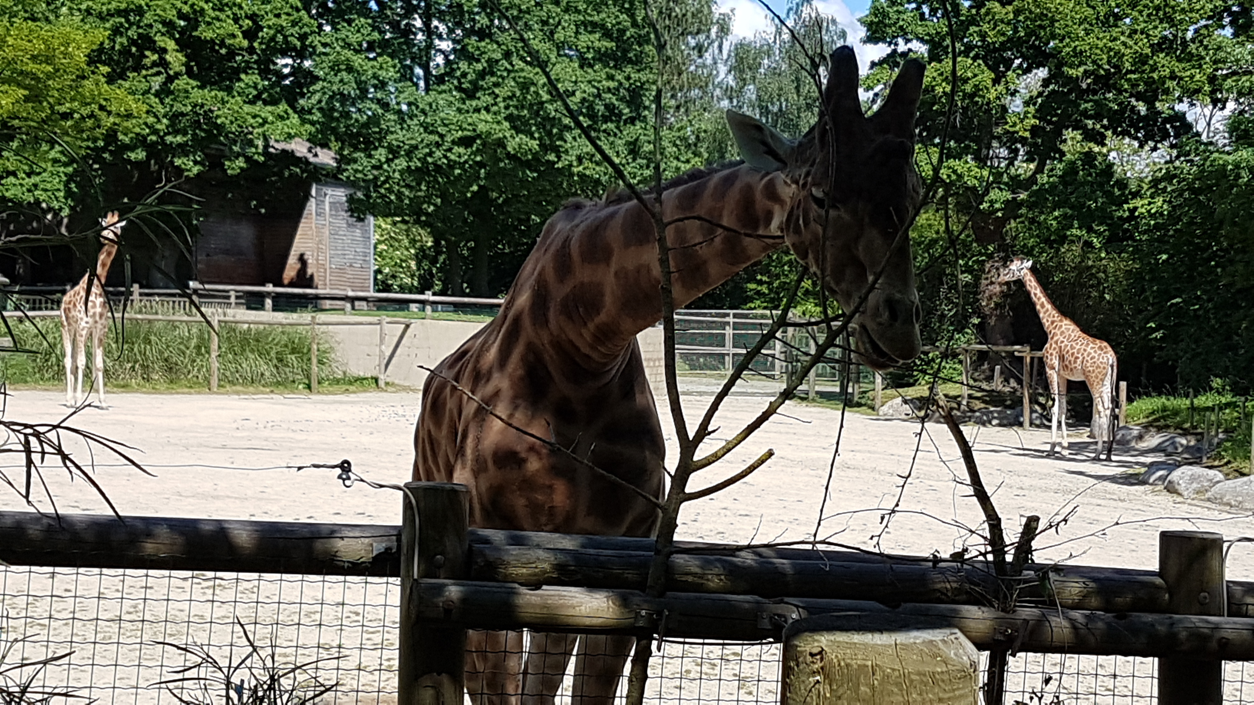 Photo n° 22 de l'avis de Dominique.A fait le 21/05/2019 à 20:35